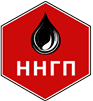 ООО "Нижегороднефтегаз проект"